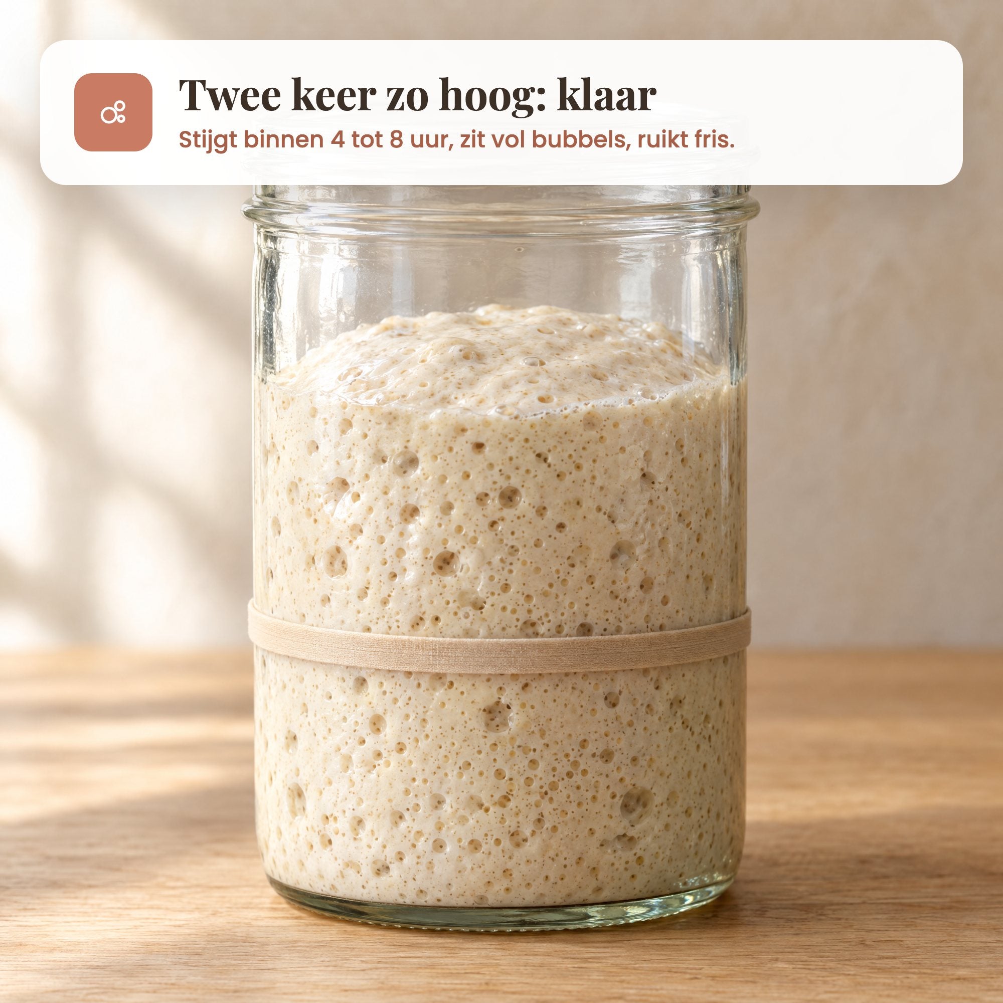 Pot met verdubbelde, bubbelende zuurdesemstarter en een elastiekje op de oude hoogte